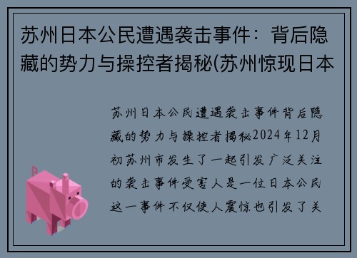 苏州日本公民遭遇袭击事件：背后隐藏的势力与操控者揭秘(苏州惊现日本街)