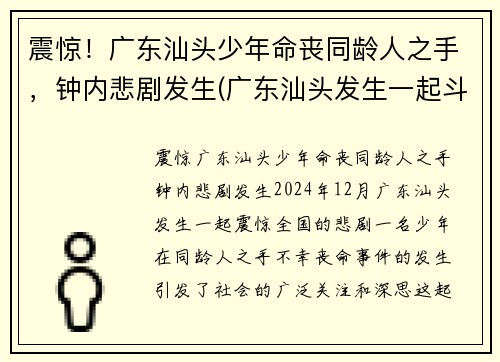 震惊！广东汕头少年命丧同龄人之手，钟内悲剧发生(广东汕头发生一起斗殴)